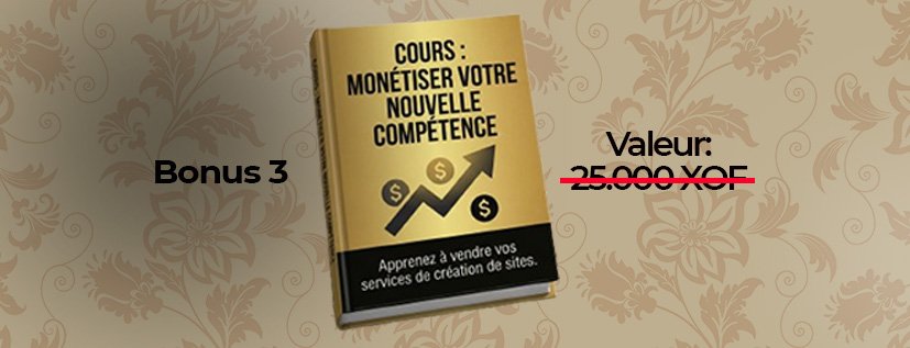 Visuel Bonus 3: Cours monétiser votre nouvelle compétence